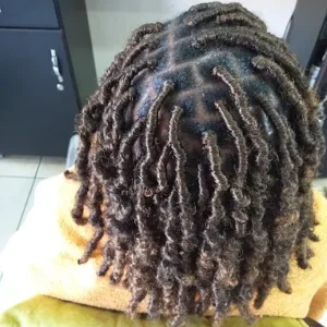 Art of Hair Mobile SalonHa
