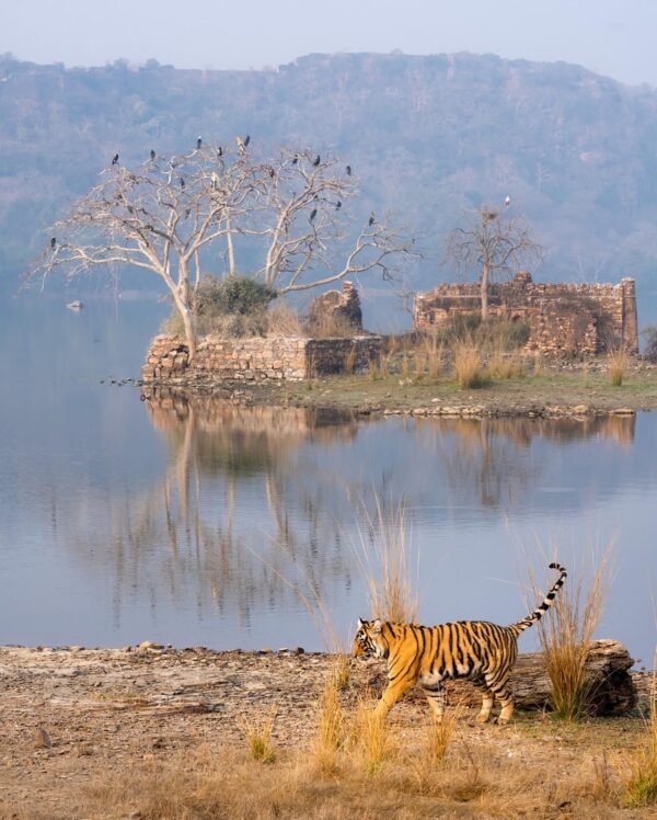 SCBWANGA TOURS AND TRAVEL LTD - Image 2
